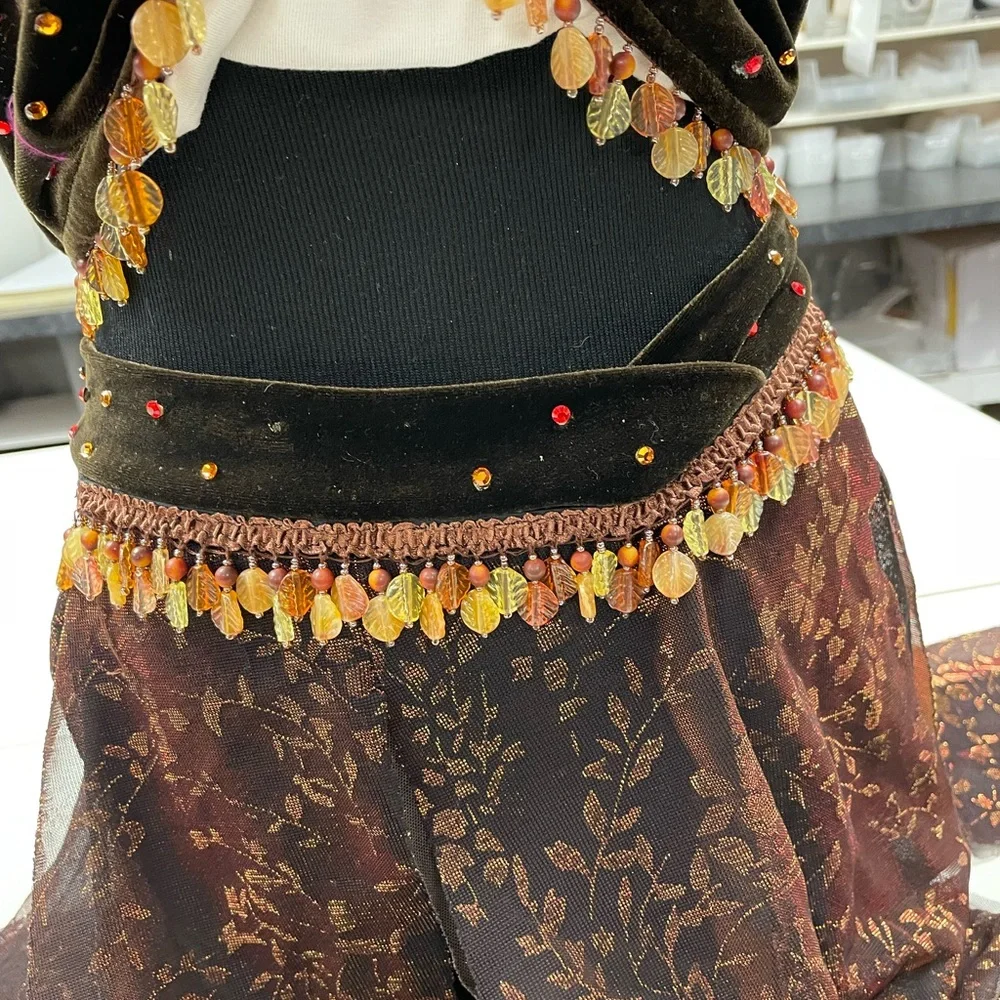 The line up brown velour dance costume rhinestones. Beaded trim.